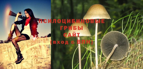 кокс Аркадак